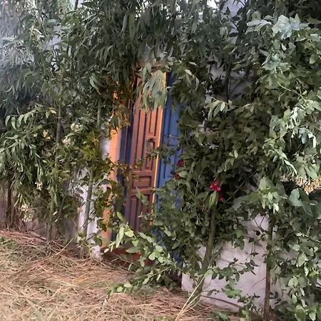 Casa Alondra El Gastor